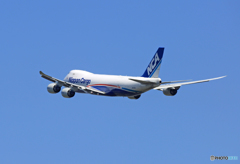 「あおぞら」NCA 747-8KZF JA17KZジャンボ飛ぶ