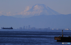 「すかい」富士山に   飛行機を観る