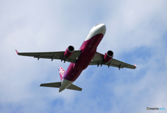 「良い天気」Peach A320-214 JA814P  飛ぶ　