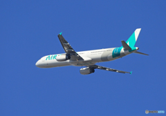 「青が大好き」☀AIR SEOUL A321-231 HL8280離陸です