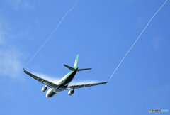 「ぶるー」 EVA A330-302 ベイパーですね！