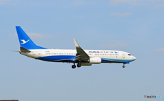 「青が大好き」 厦門航空 737-85C B-1971 到着です