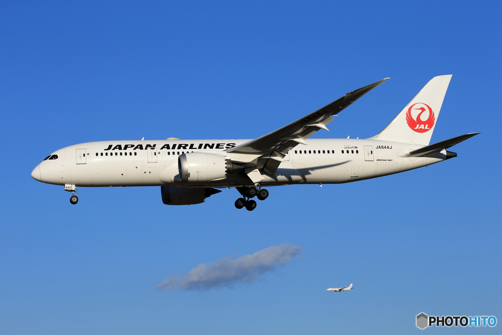 「青が大好き」 JAL 787-8 JA844J  Landing