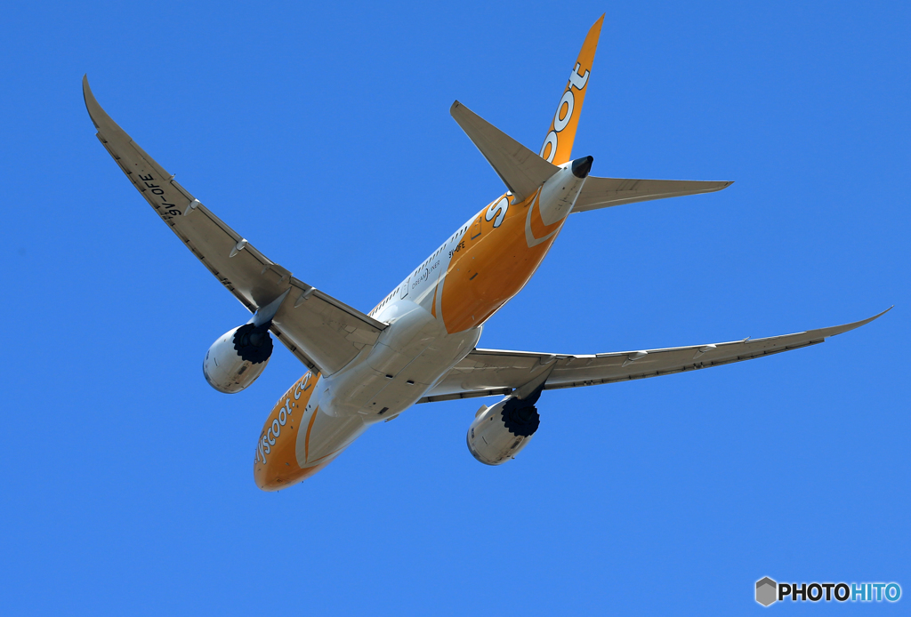 「ブルー」 scoot 787-8 9V-OFE 出発