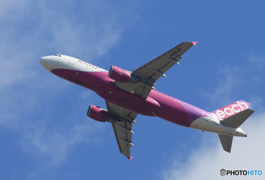 「すかい」 peach A320-214 JA804P  出発