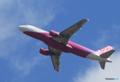 「すかい」 peach A320-214 JA804P  出発