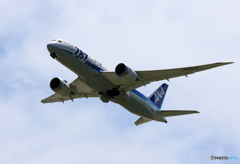  「晴れ」 ANA 787-8 JA822A 飛び立ちです