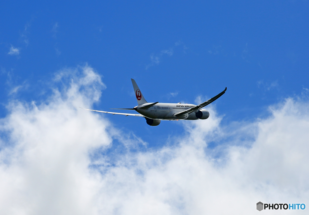 [青い空] JAL 787-8 JA828J Takeoff