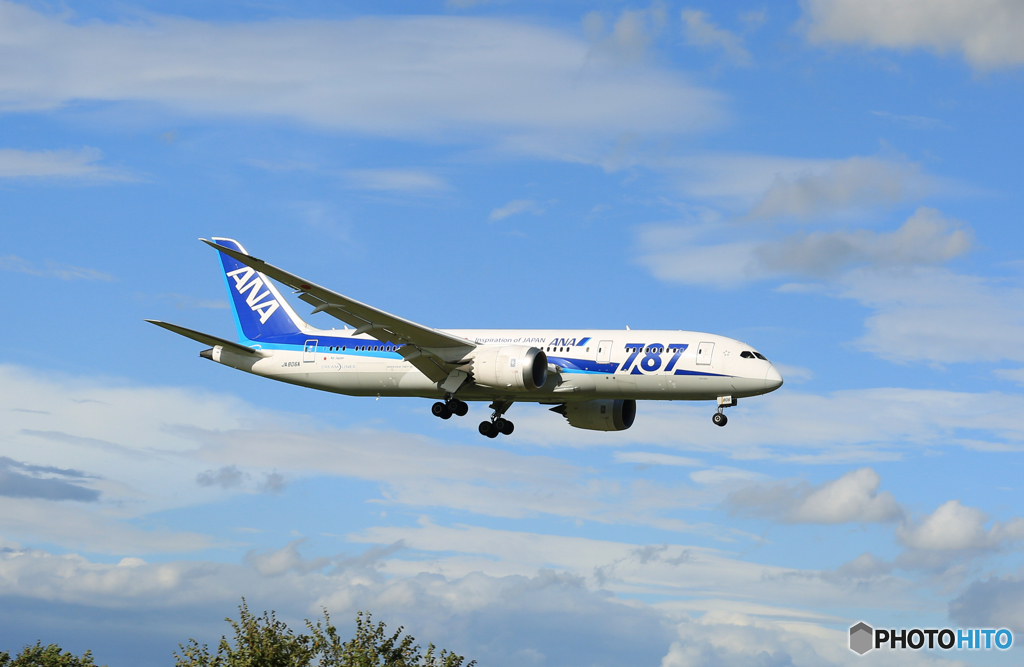 ☀「青い空」が一番 ANA 787-8 JA806A