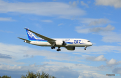 ☀「青い空」が一番 ANA 787-8 JA806A