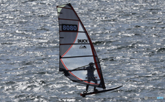 「青が好き」 とても良い風と...