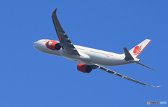 「はれ」 Lion Air A330-941 9M-MRD 出発です