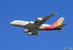 「SKY」 ASIANA A380-841 HL7626 出発です