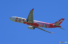 「平成」-「令和」Air Asia ロッテワールドA330-343 特別塗装