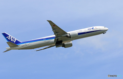 「真青の空」 ANA 777-300 JA779A 飛ぶ