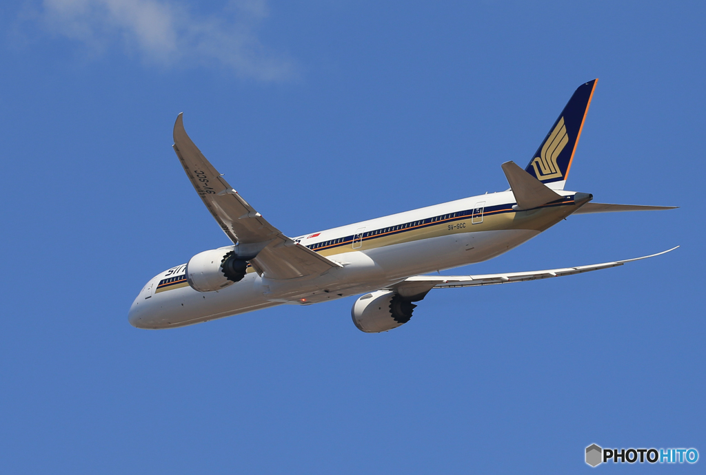 ☀「あおぞら」Singapore 787-10 9V-SCC 飛行