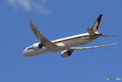☀「あおぞら」Singapore 787-10 9V-SCC 飛行
