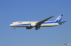 「SKY」 ANA 787-9 JA883A Landing