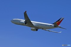  「晴れ」Philippine A330 RP-C8782 飛ぶ