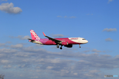 「SKY」ピーチ A320-214 JA11VA  Landing良い天気ですね