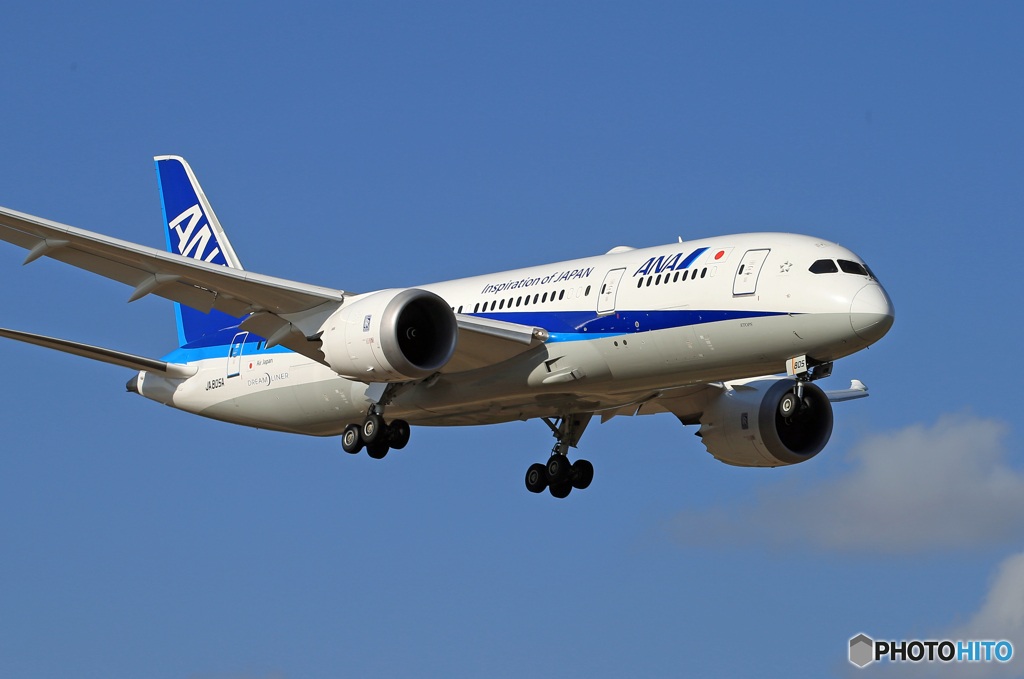  「晴れ」  ANA 787-8 JA805A Landing 