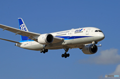  「晴れ」  ANA 787-8 JA805A Landing 