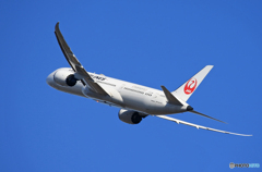 「群青」JAL 787-9 JA869J 飛行