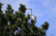 「青色が好き」 ちょっと休憩