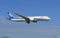 「群青」 ANA 787-9 JA888A 着陸します
