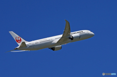 「真青の空」JAL 787-9 JA869J 出発
