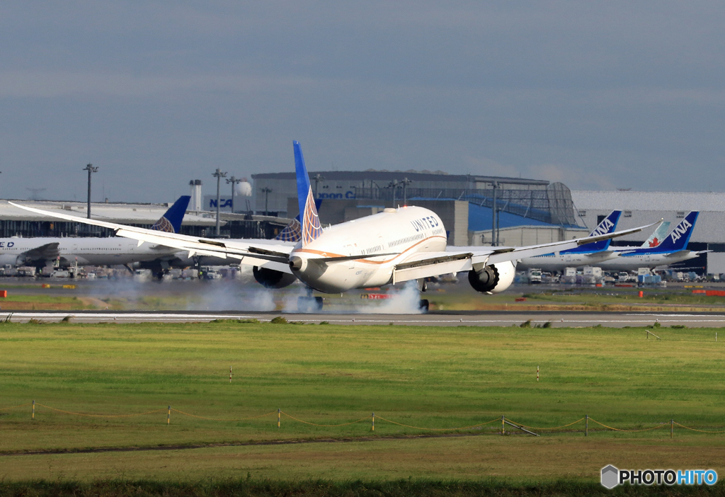 「青が好き」 UNITED 787-8 N29907 到着