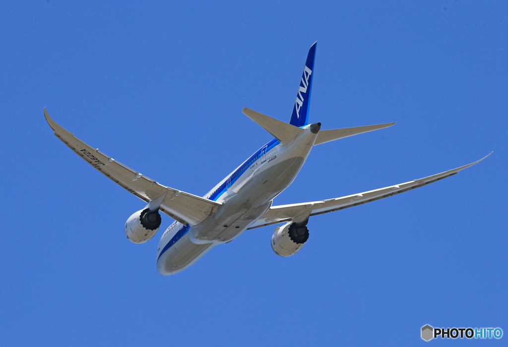 「青い日」 ANA 787-8 JA822A Takeoff