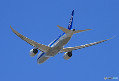 「青い日」 ANA 787-8 JA822A Takeoff