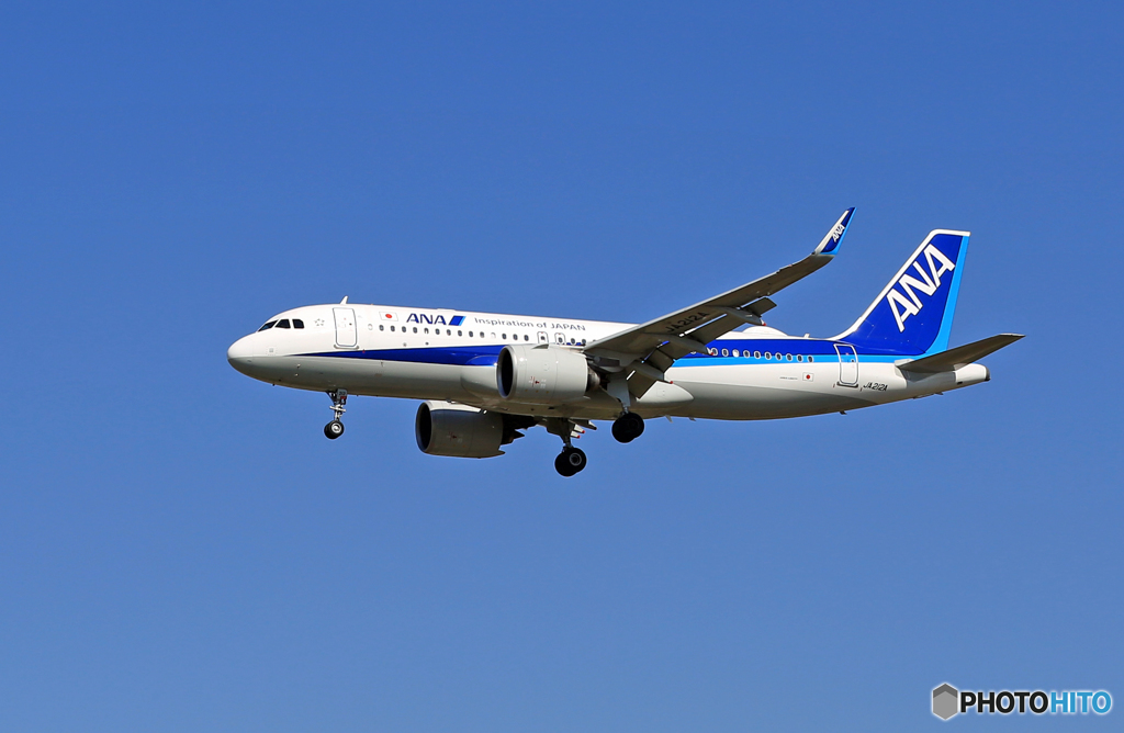 「ぶるー」 ANA A320-271 neo JA212A 着陸