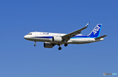 「ぶるー」 ANA A320-271 neo JA212A 着陸