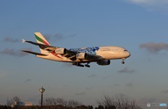 「あおぞら」 エミレーツ特別塗装A380-861 A6-EOF 到着