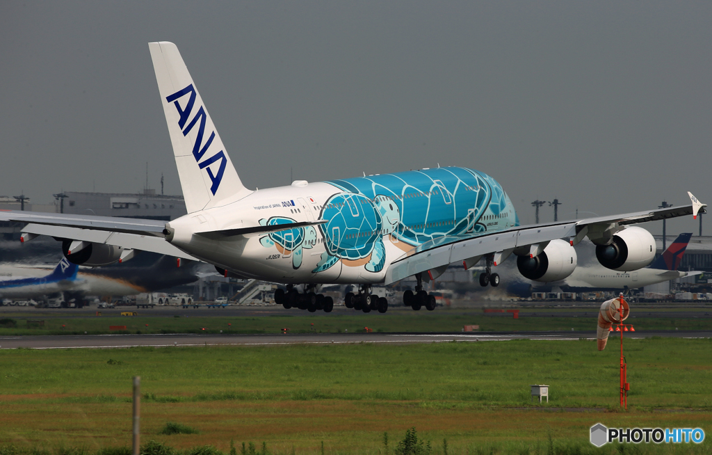 「曇り」Flying Honu A380-841 JA382A  到着します