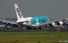 「曇り」Flying Honu A380-841 JA382A  到着します