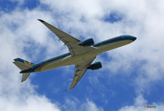 [青い空] Vietnam A350-941 VN-A891Takeoff 