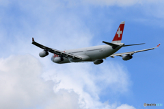 「青空」 SWISS A340-313 HB-JMH 出発です