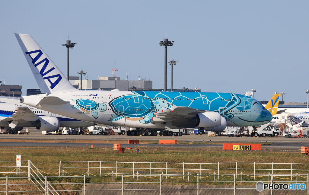 「すかい」Flying Honu A380-841 JA382A