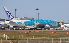 「すかい」Flying Honu A380-841 JA382A 「すかい」Flying Honu A380-841 JA382A