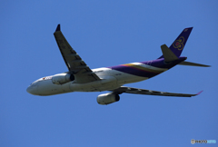 「青色が好き」 Thai A330-343 HS-TBD 飛び立ちです 