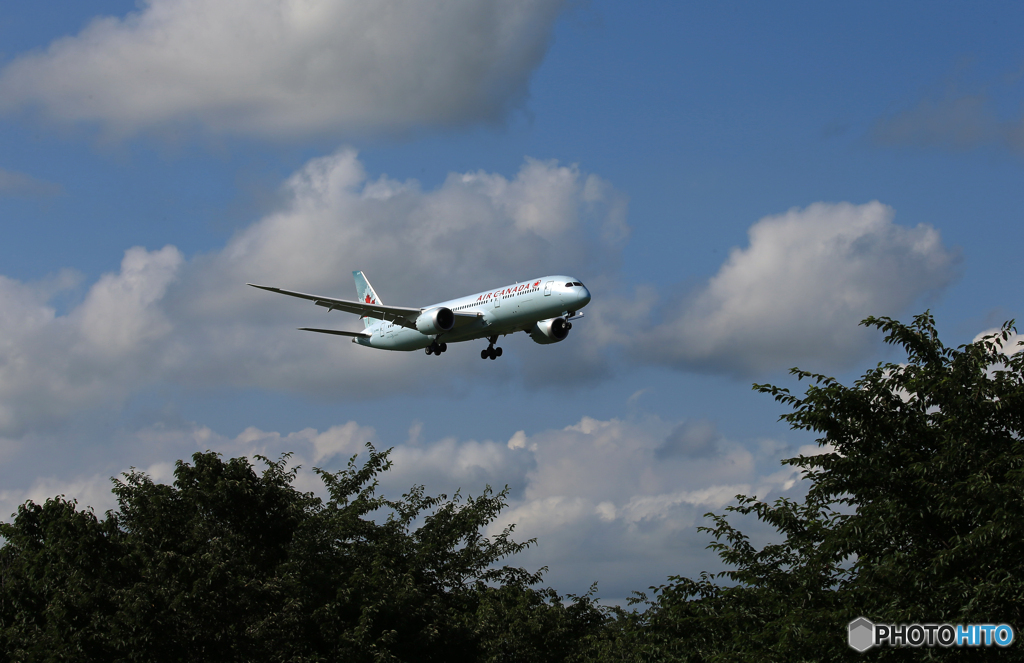「良い空～」Air Canada 787-9 C-FRSE 到着