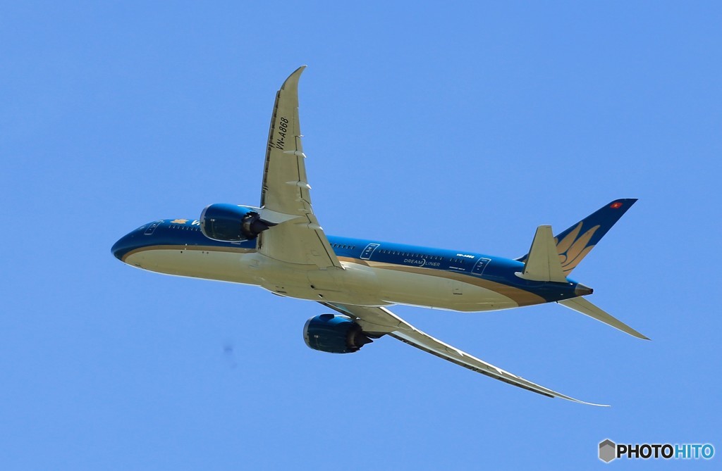 「ブルー」 Vietnam A350-941 VN-A863 飛ぶ