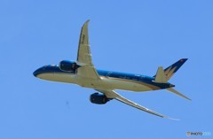 「ブルー」 Vietnam A350-941 VN-A863 飛ぶ