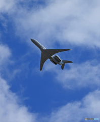 「群青色」Private ウイルミントン G5000 飛行