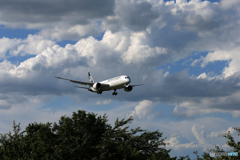 「青が好き」Air New Zealand B787-9 ZK-NZD 