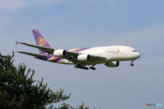 「青が大好き」 THAI A380-841 HS-TUC 着地前 