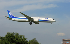 「ぶるー」 ANA 787-9 JA883A 着地前 